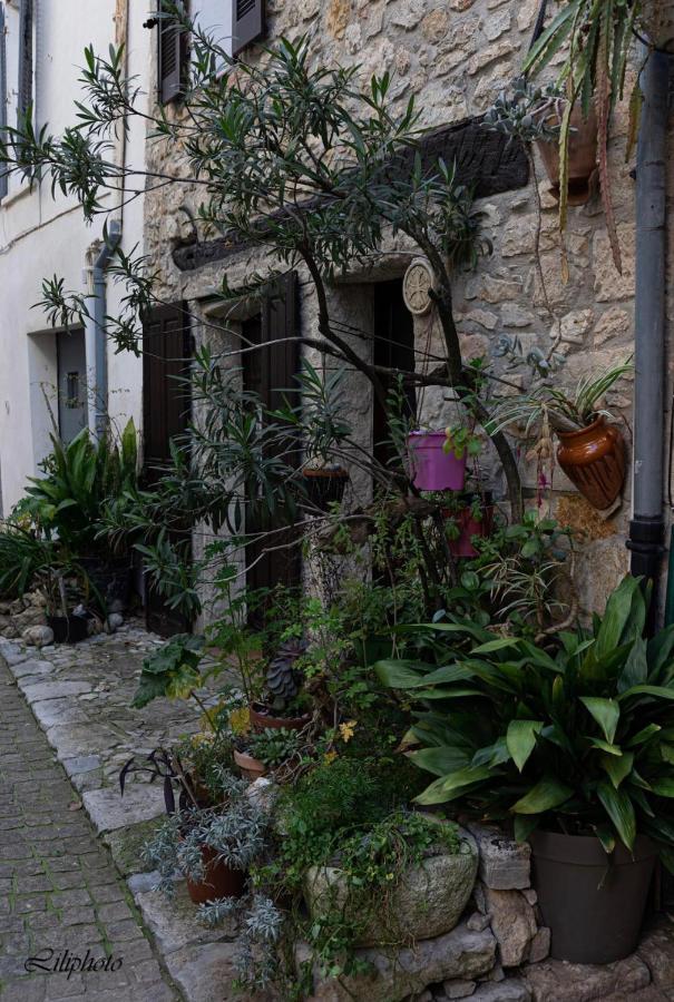 Cosy Provencal * Belgentier